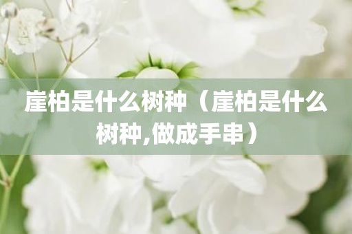 崖柏是什么树种（崖柏是什么树种,做成手串）
