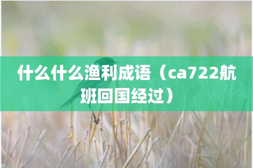 什么什么渔利成语(ca722航班回国经过)