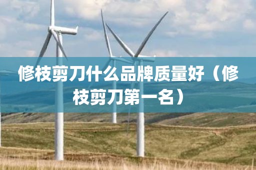 修枝剪刀什么品牌质量好（修枝剪刀第一名）