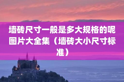 墙砖尺寸一般是多大规格的呢图片大全集（墙砖大小尺寸标准）