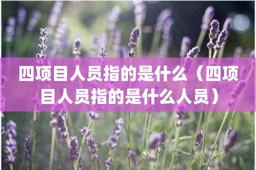 四项目人员指的是什么(四项目人员指的是什么人员)