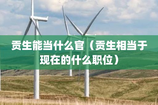 贡生能当什么官（贡生相当于现在的什么职位）