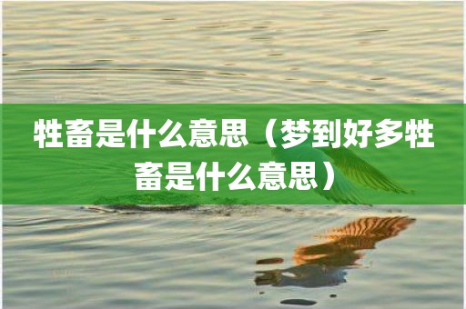 牲畜是什么意思（梦到好多牲畜是什么意思）