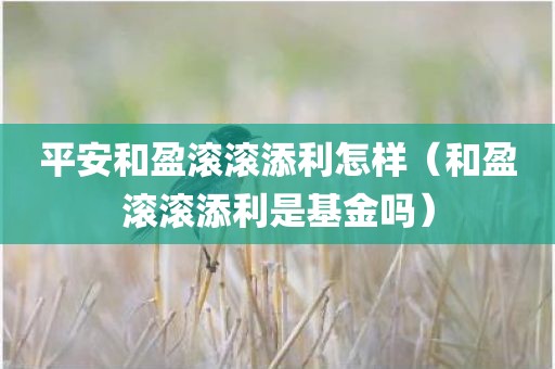 平安和盈滚滚添利怎样（和盈滚滚添利是基金吗）