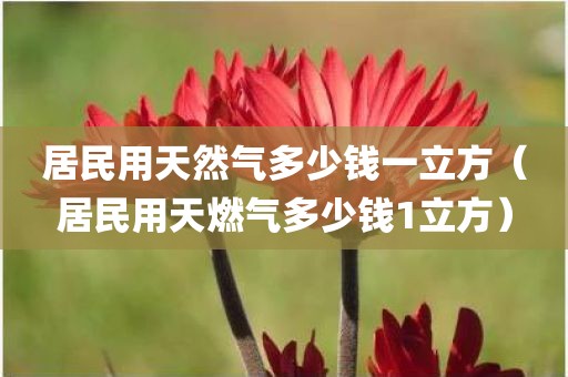 居民用天然气多少钱一立方（居民用天燃气多少钱1立方）