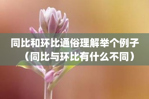 同比和环比通俗理解举个例子(同比与环比有什么不同)