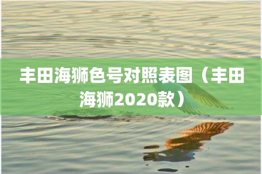 丰田海狮色号对照表图（丰田海狮2020款）