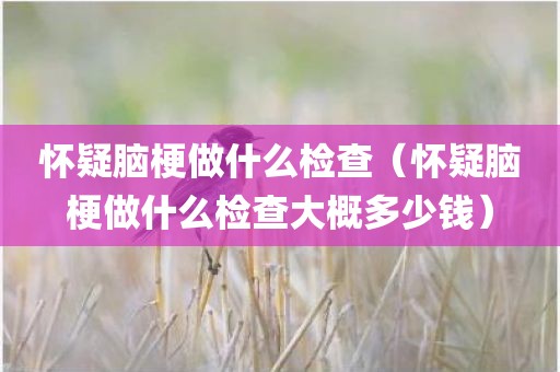 怀疑脑梗做什么检查（怀疑脑梗做什么检查大概多少钱）
