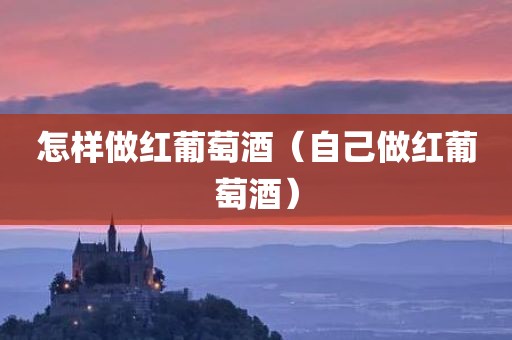 怎样做红葡萄酒（自己做红葡萄酒）
