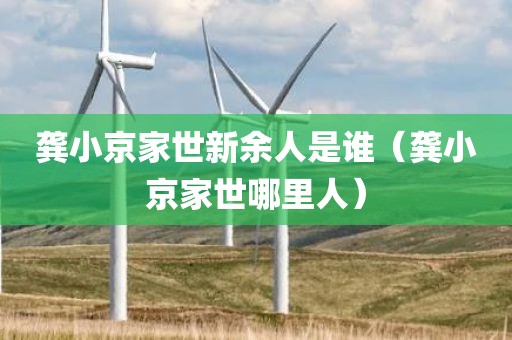 龚小京家世新余人是谁（龚小京家世哪里人）