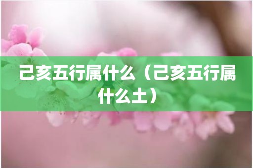 己亥五行属什么（己亥五行属什么土）