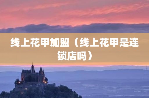 线上花甲加盟(线上花甲是连锁店吗)