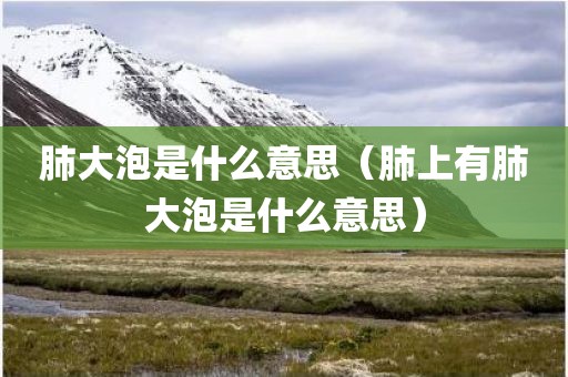 肺大泡是什么意思(肺上有肺大泡是什么意思)