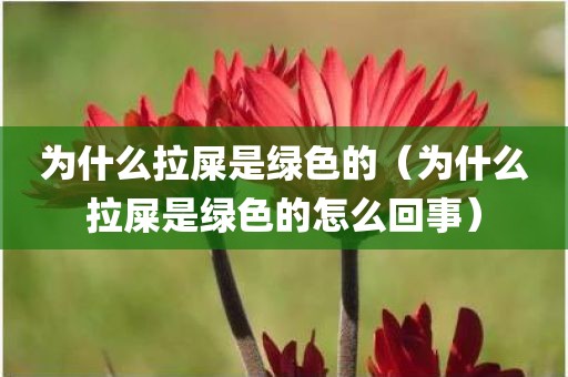 为什么拉屎是绿色的（为什么拉屎是绿色的怎么回事）
