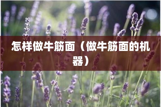 怎样做牛筋面（做牛筋面的机器）