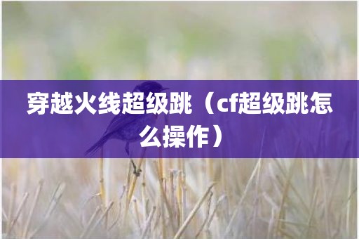 穿越火线超级跳（cf超级跳怎么操作）