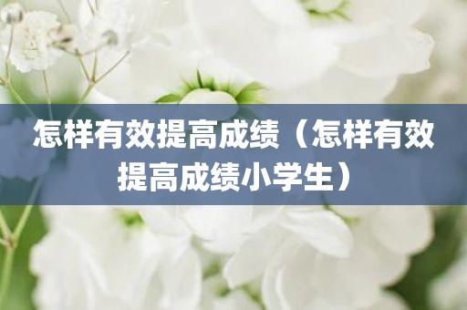 怎样有效提高成绩（怎样有效提高成绩小学生）