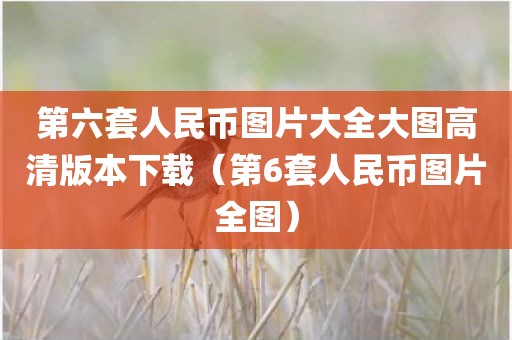 第六套人民币图片大全大图高清版本下载（第6套人民币图片全图）