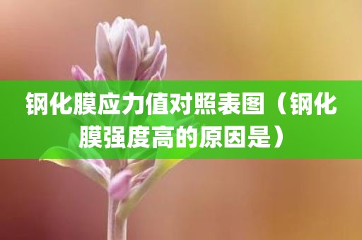 钢化膜应力值对照表图（钢化膜强度高的原因是）