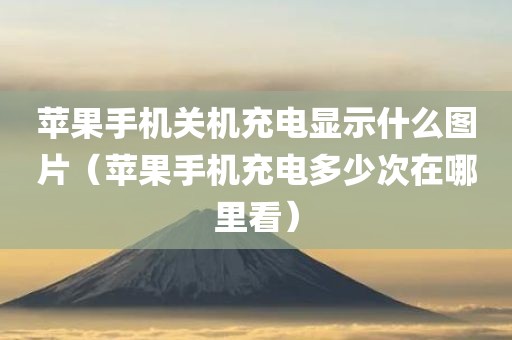 苹果手机关机充电显示什么图片（苹果手机充电多少次在哪里看）