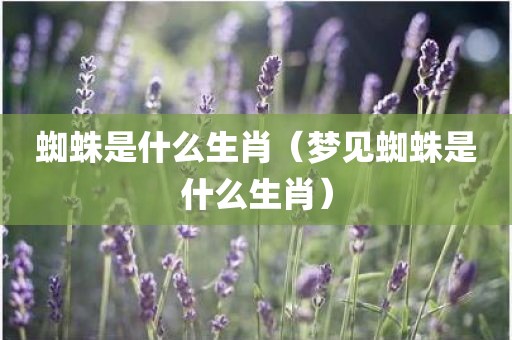蜘蛛是什么生肖（梦见蜘蛛是什么生肖）