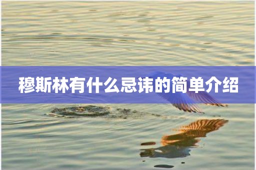 穆斯林有什么忌讳的简单介绍