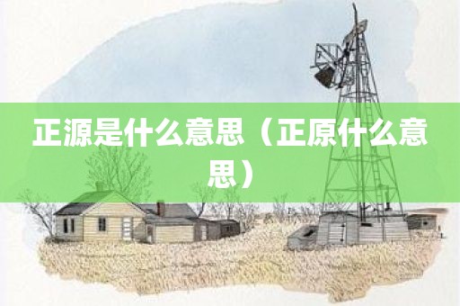 正源是什么意思（正原什么意思）