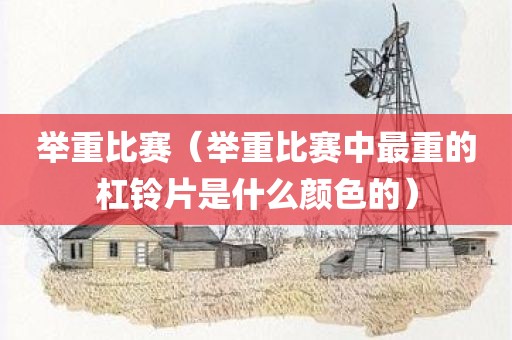 举重比赛（举重比赛中最重的杠铃片是什么颜色的）