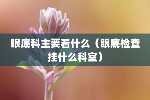 眼底科主要看什么(眼底检查挂什么科室)