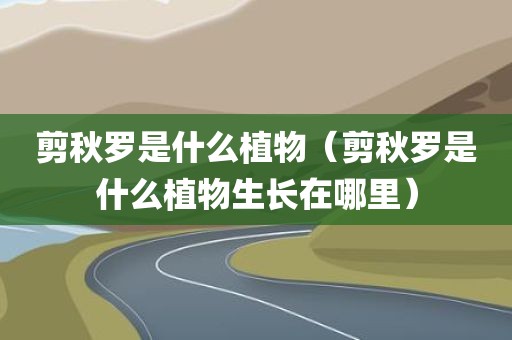 剪秋罗是什么植物（剪秋罗是什么植物生长在哪里）