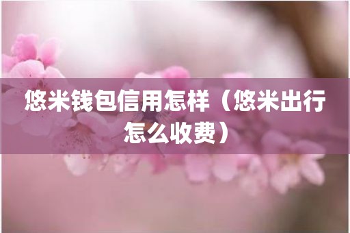 悠米钱包信用怎样（悠米出行怎么收费）