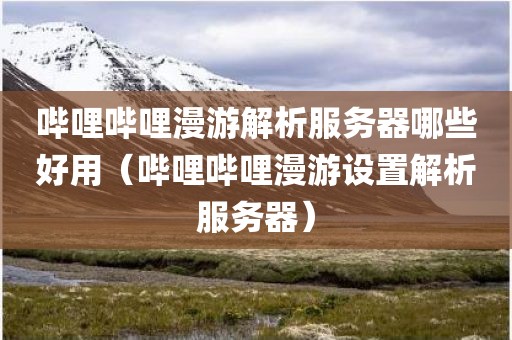哔哩哔哩漫游解析服务器哪些好用（哔哩哔哩漫游设置解析服务器）