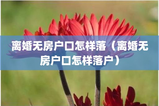 离婚无房户口怎样落(离婚无房户口怎样落户) 离婚无房户口怎样落(离婚无房户口怎样落户)