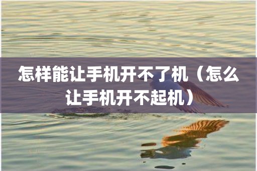 怎样能让手机开不了机（怎么让手机开不起机）