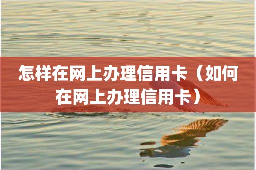 怎样在网上办理信用卡（如何在网上办理信用卡）