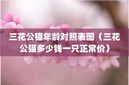 三花公猫年龄对照表图（三花公猫多少钱一只正常价）