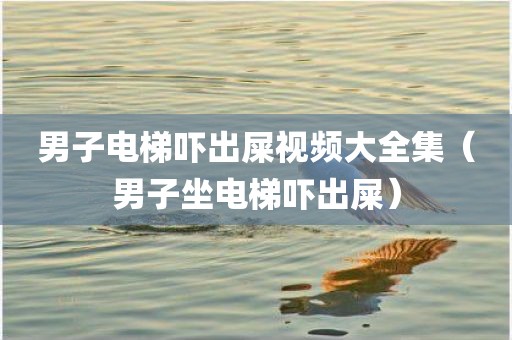 男子电梯吓出屎视频大全集(男子坐电梯吓出屎) 男子电梯吓出屎视频大全集(男子坐电梯吓出屎)