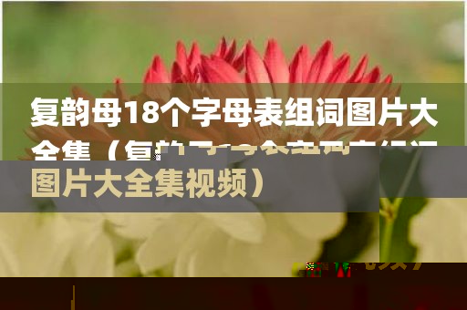 复韵母18个字母表组词图片大全集（复韵母18个字母表组词图片大全集视频）