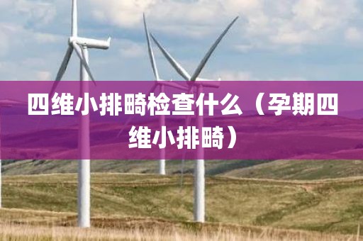 四维小排畸检查什么（孕期四维小排畸）