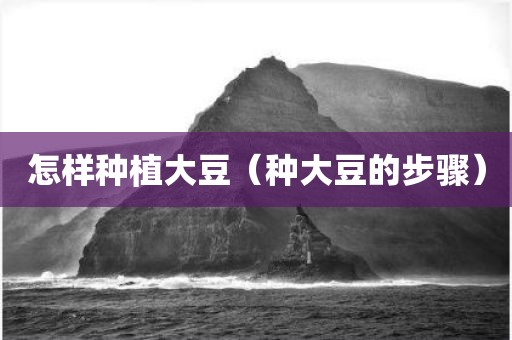 怎样种植大豆（种大豆的步骤）