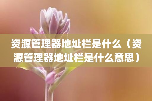 资源管理器地址栏是什么（资源管理器地址栏是什么意思）