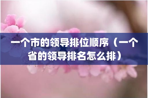一个市的领导排位顺序（一个省的领导排名怎么排）