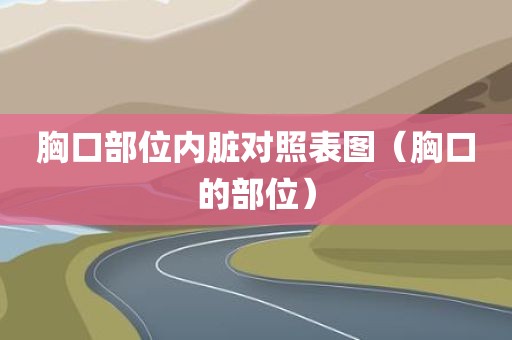 胸口部位内脏对照表图（胸口的部位）
