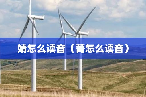 婧怎么读音（菁怎么读音）