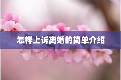 怎样上诉离婚的简单介绍