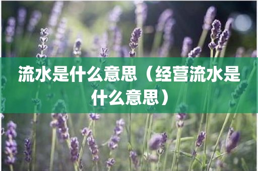 流水是什么意思（经营流水是什么意思）