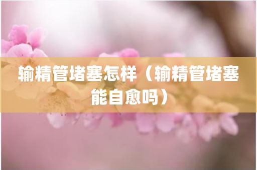输精管堵塞怎样（输精管堵塞能自愈吗）