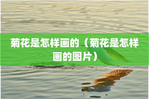 菊花是怎样画的（菊花是怎样画的图片）