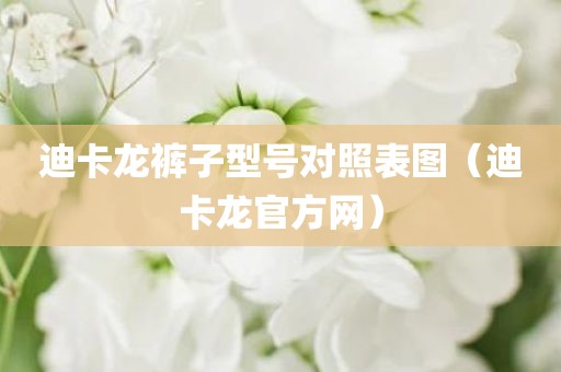 迪卡龙裤子型号对照表图（迪卡龙官方网）