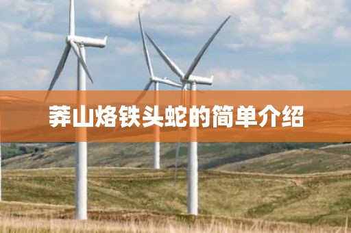 莽山烙铁头蛇的简单介绍